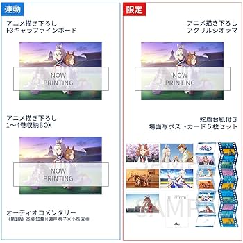 Amazon.co.jp: 【Amazon.co.jp限定】ウマ娘 シンデレラグレイ 1